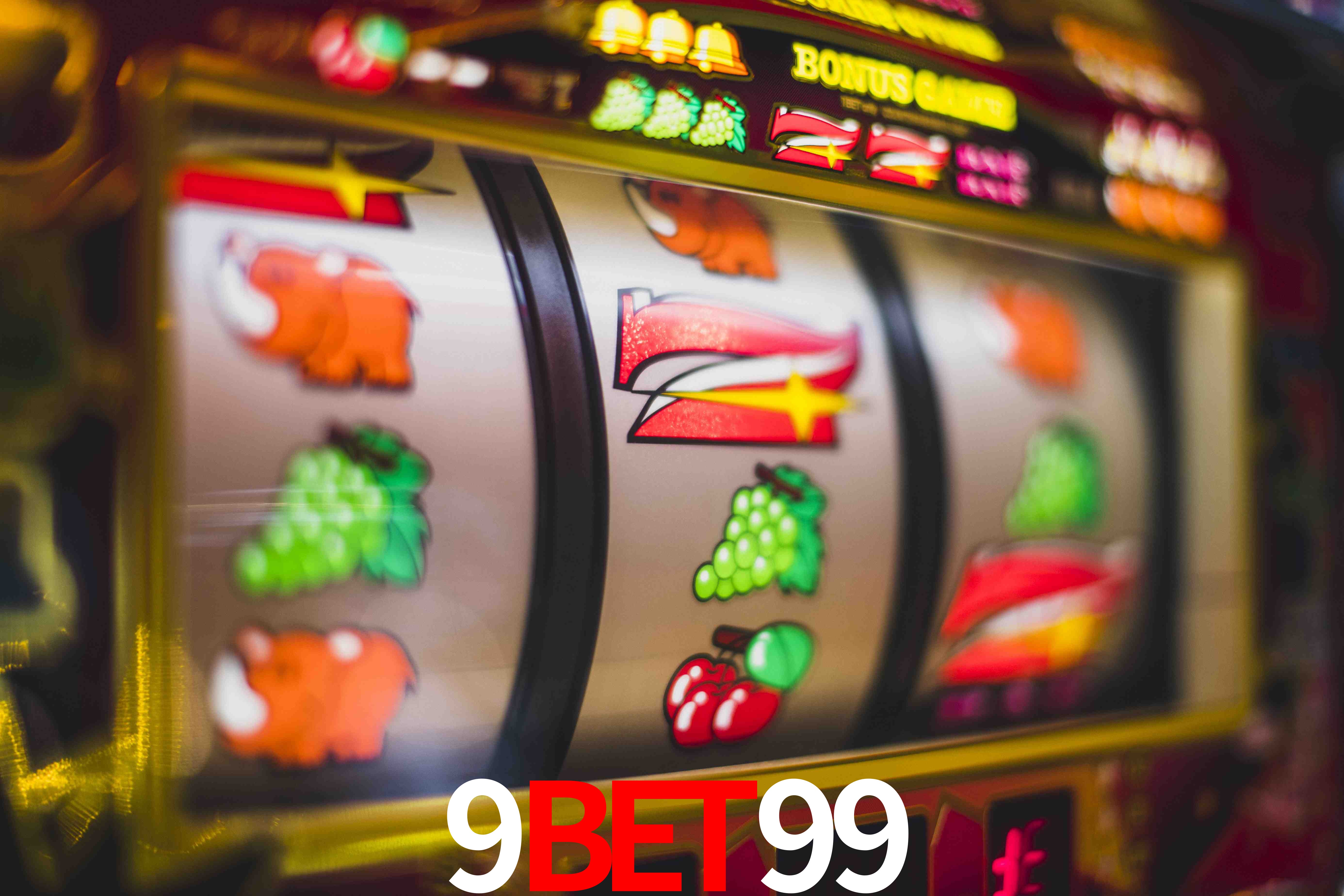 Experiência VIP 9BET99